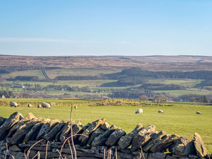 Photo 6- click for photo gallery